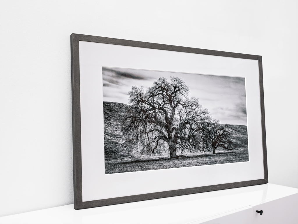 Custom Framing for Fine Art Photography | Hang Steady